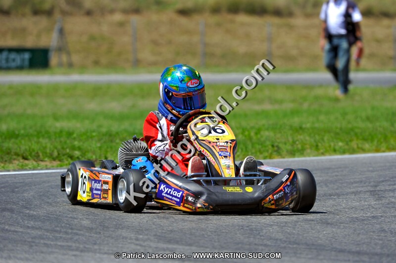 DSC_ (1476).jpg
